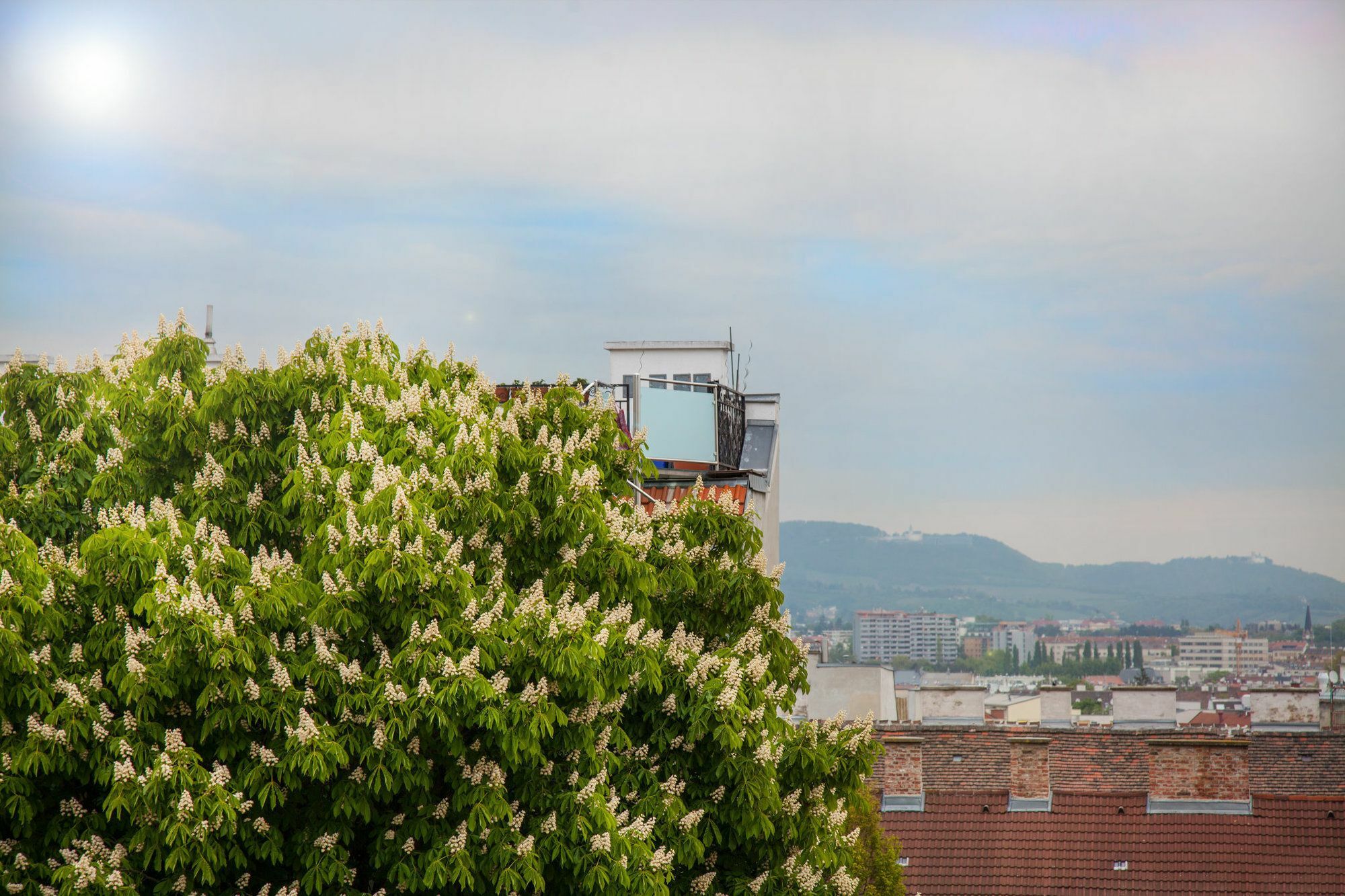 Cube70 Aparthotel Wien Ngoại thất bức ảnh